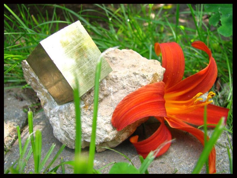 Pyrite Crystal and Lily