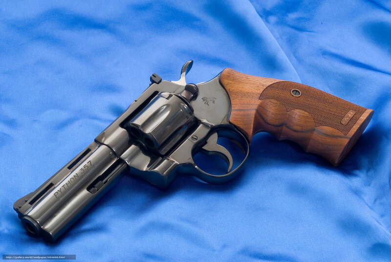 Python 357 revolver