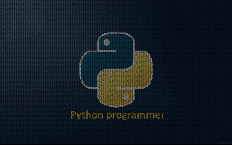 Python Logo on Fabric