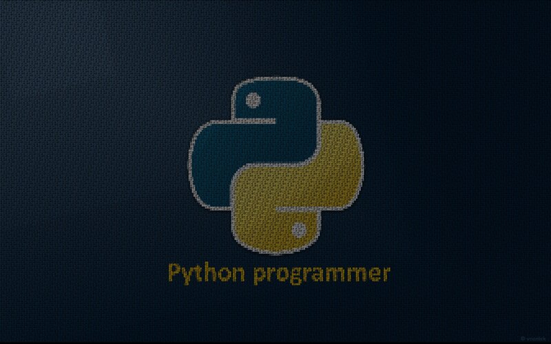 Python programmer logo