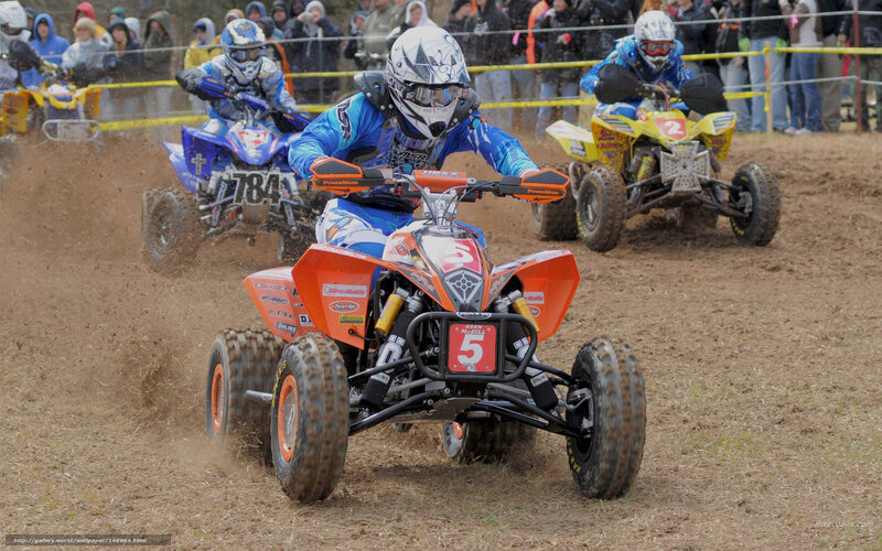 Quad Bike Racers — Brown