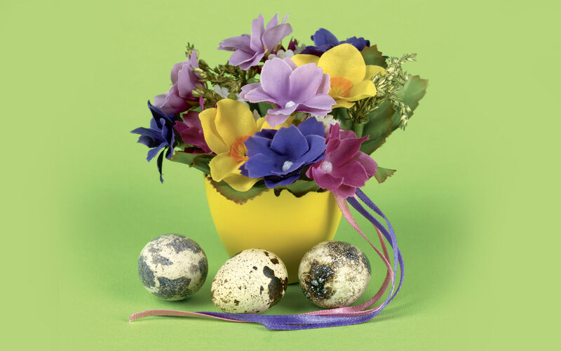 Quail Eggs and Flowers