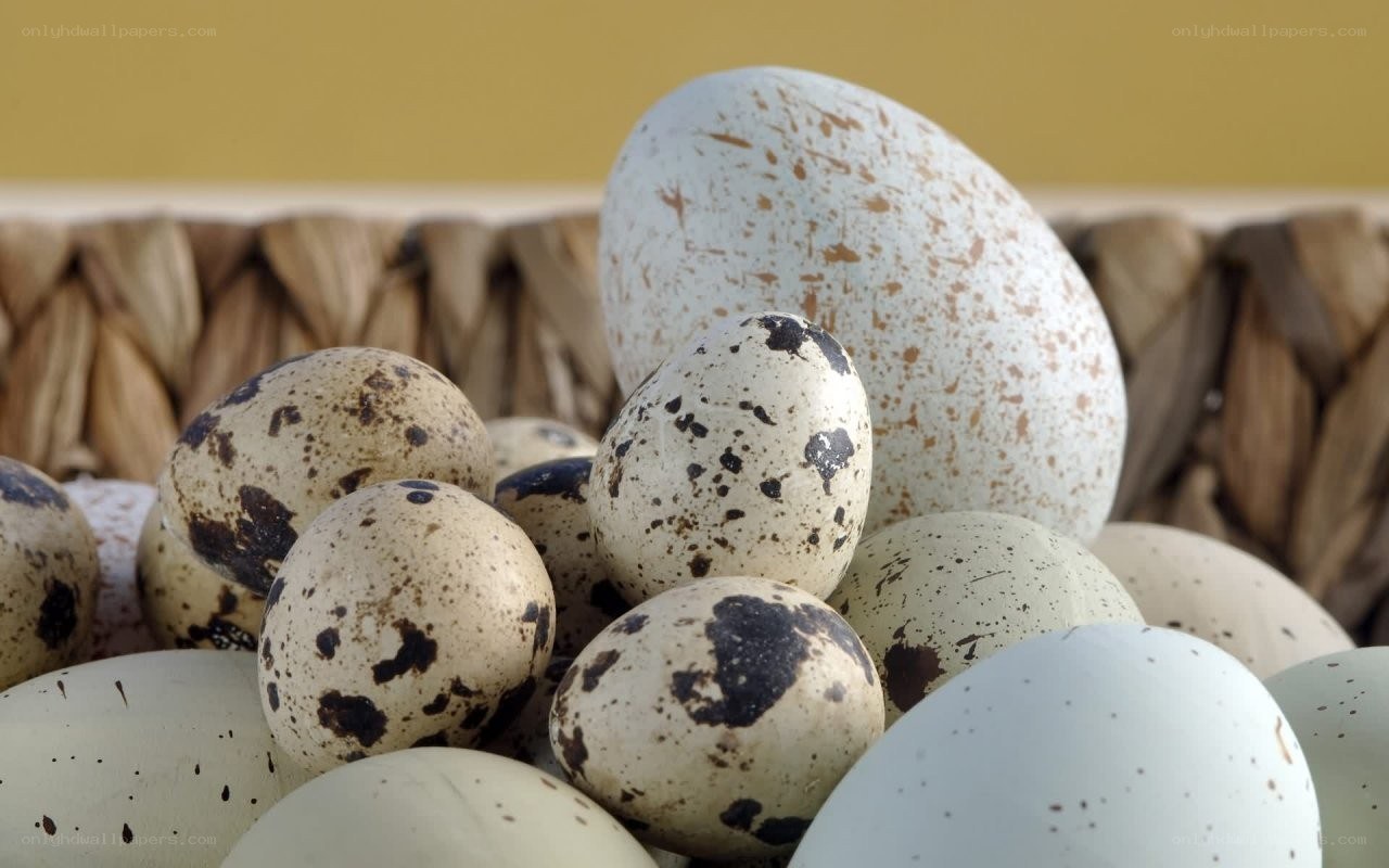 quail eggs in a basket