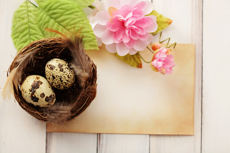 Quail Eggs in Nest