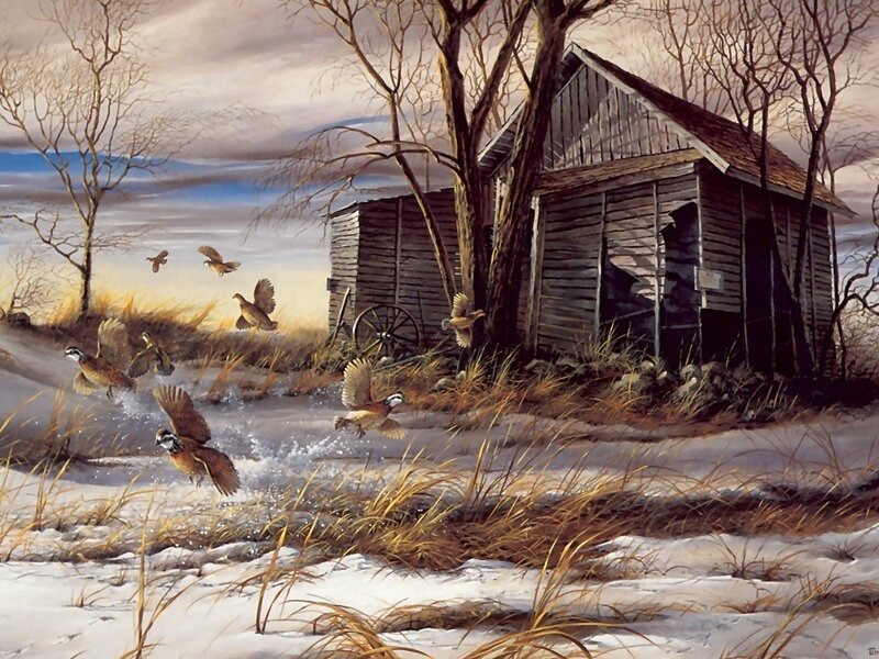 Quail Flying in Snow