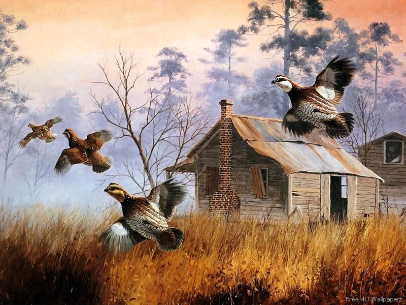 Quail Flying over Cabin — Brown