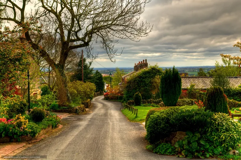 Quaint village lane under cloudy sky