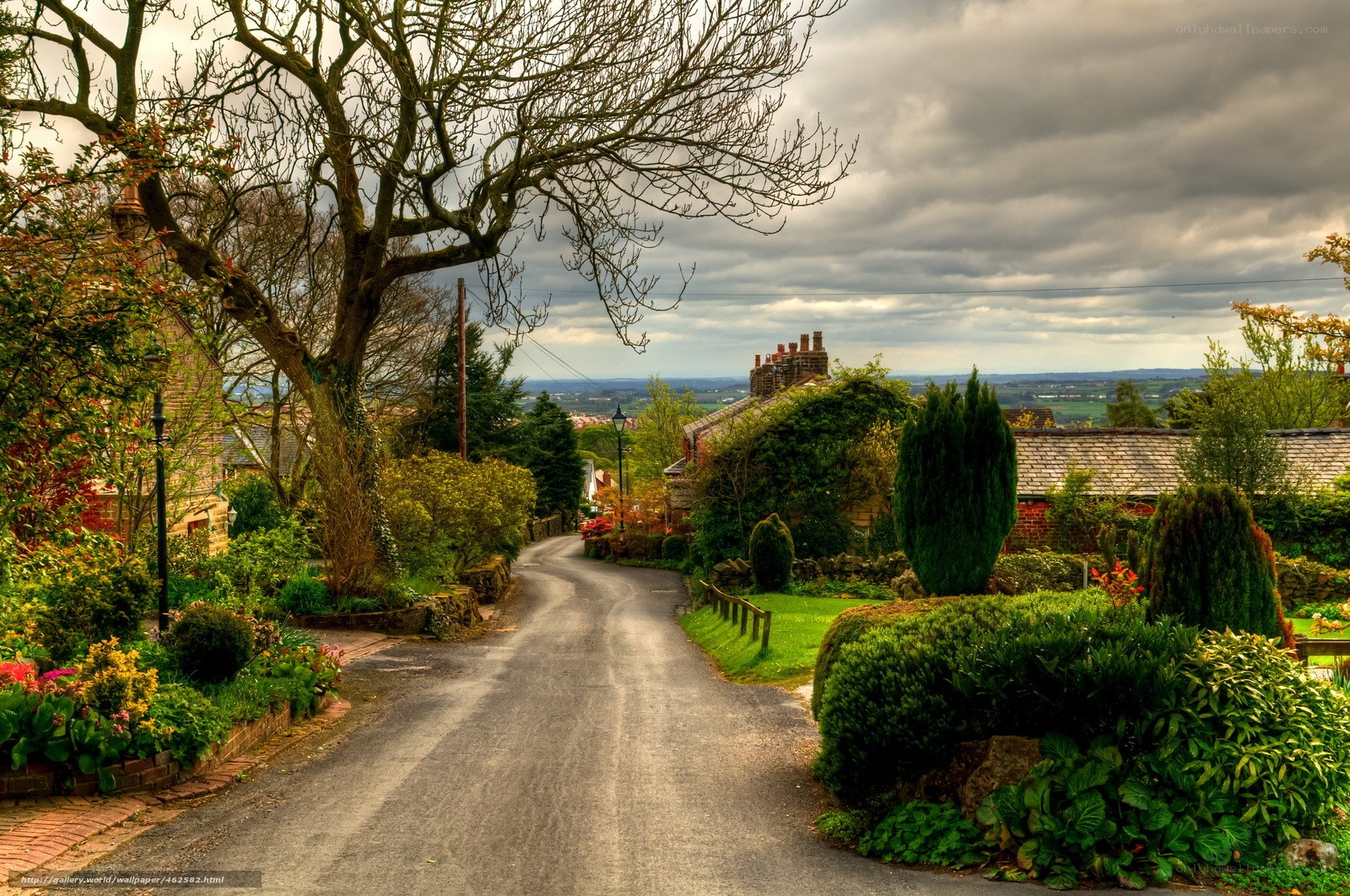 Quaint village lane under cloudy sky