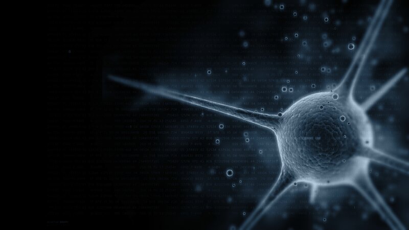 Quantum binary code visualization