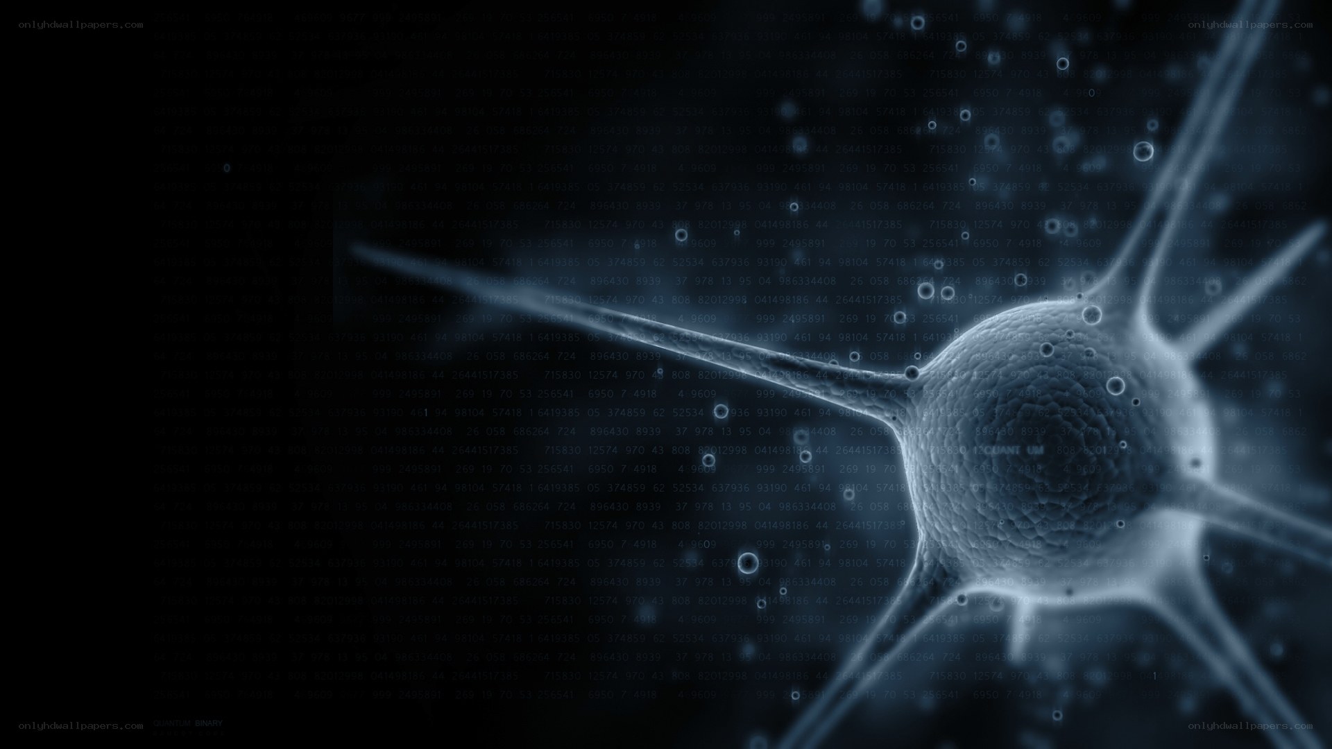 Quantum binary code visualization