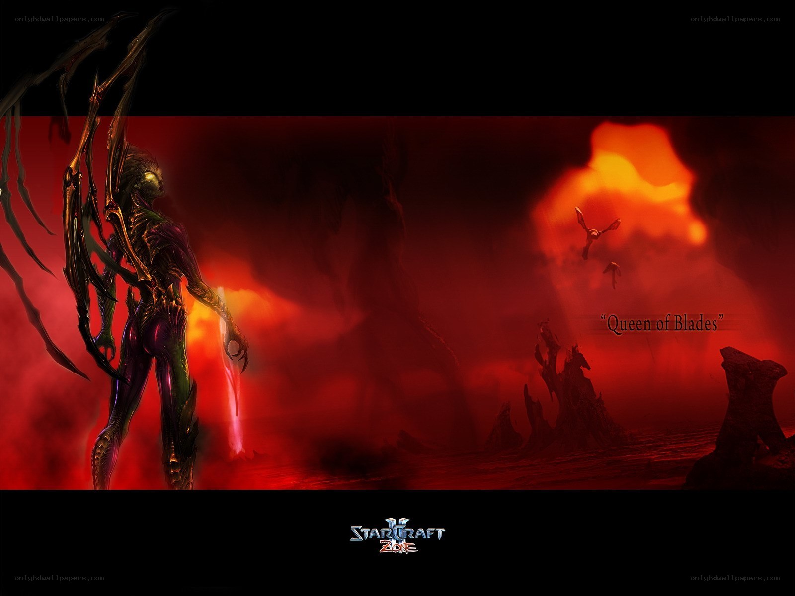 Queen of Blades artwork