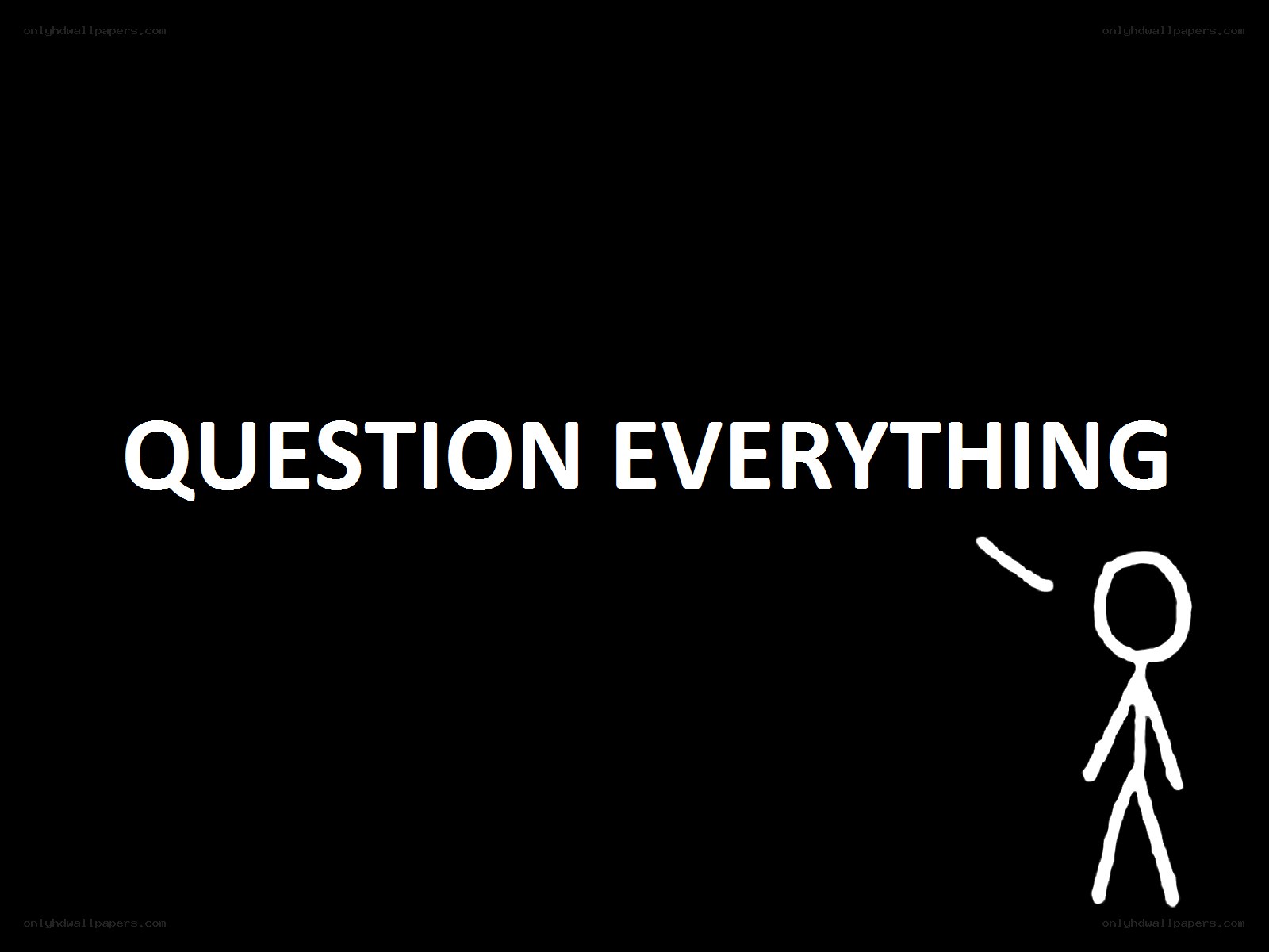 question everything