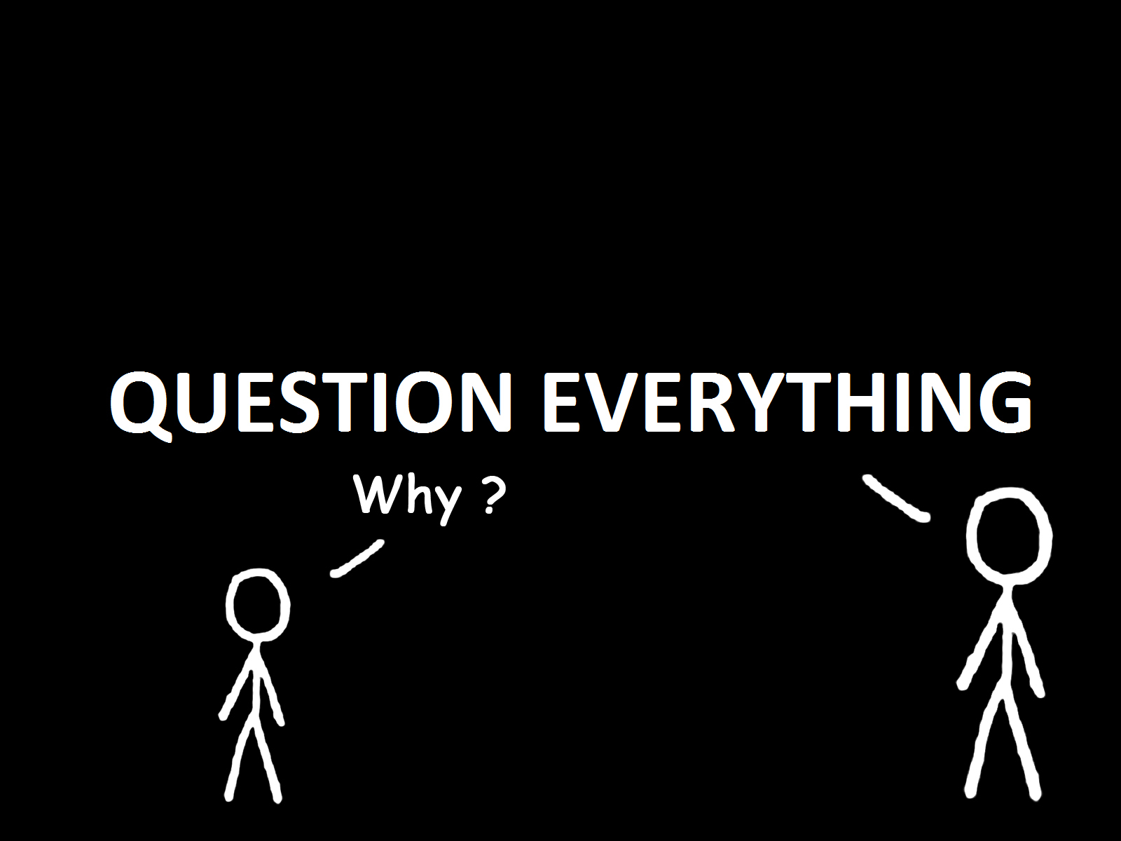 question everything