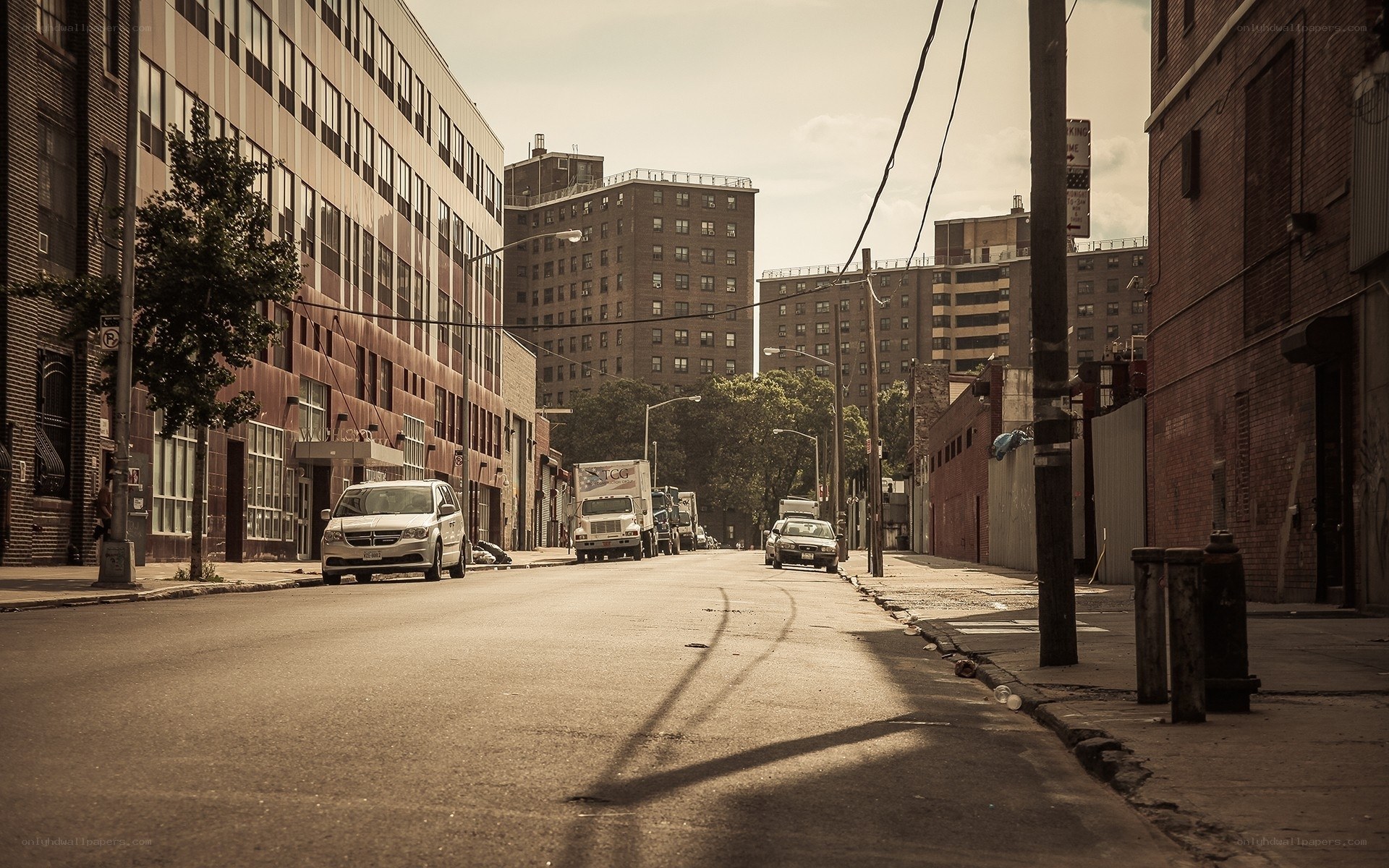 Quiet city street with parked cars