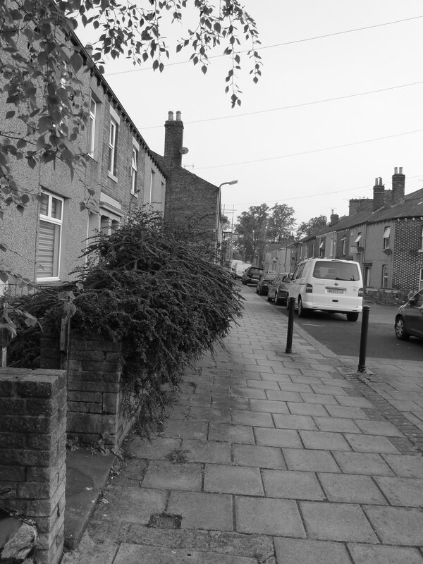 quiet residential street