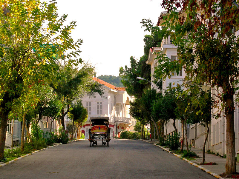 Quiet street with horse-drawn carriage