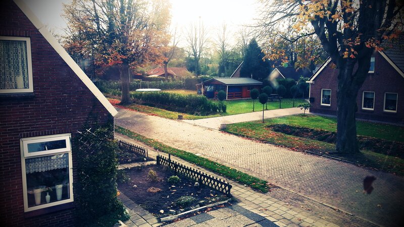 Quiet suburban street in autumn