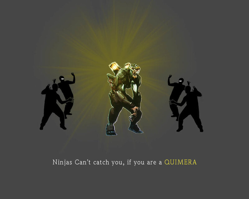 Quimera vs Ninjas