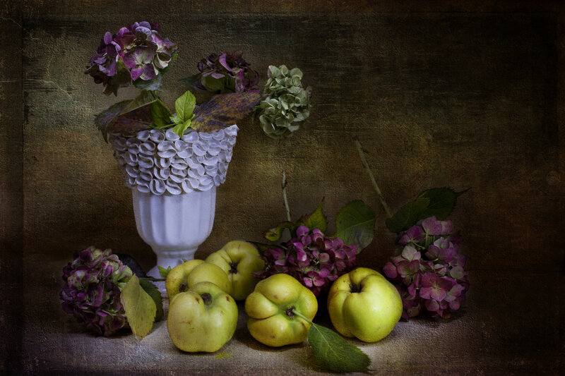Quinces and Hydrangeas