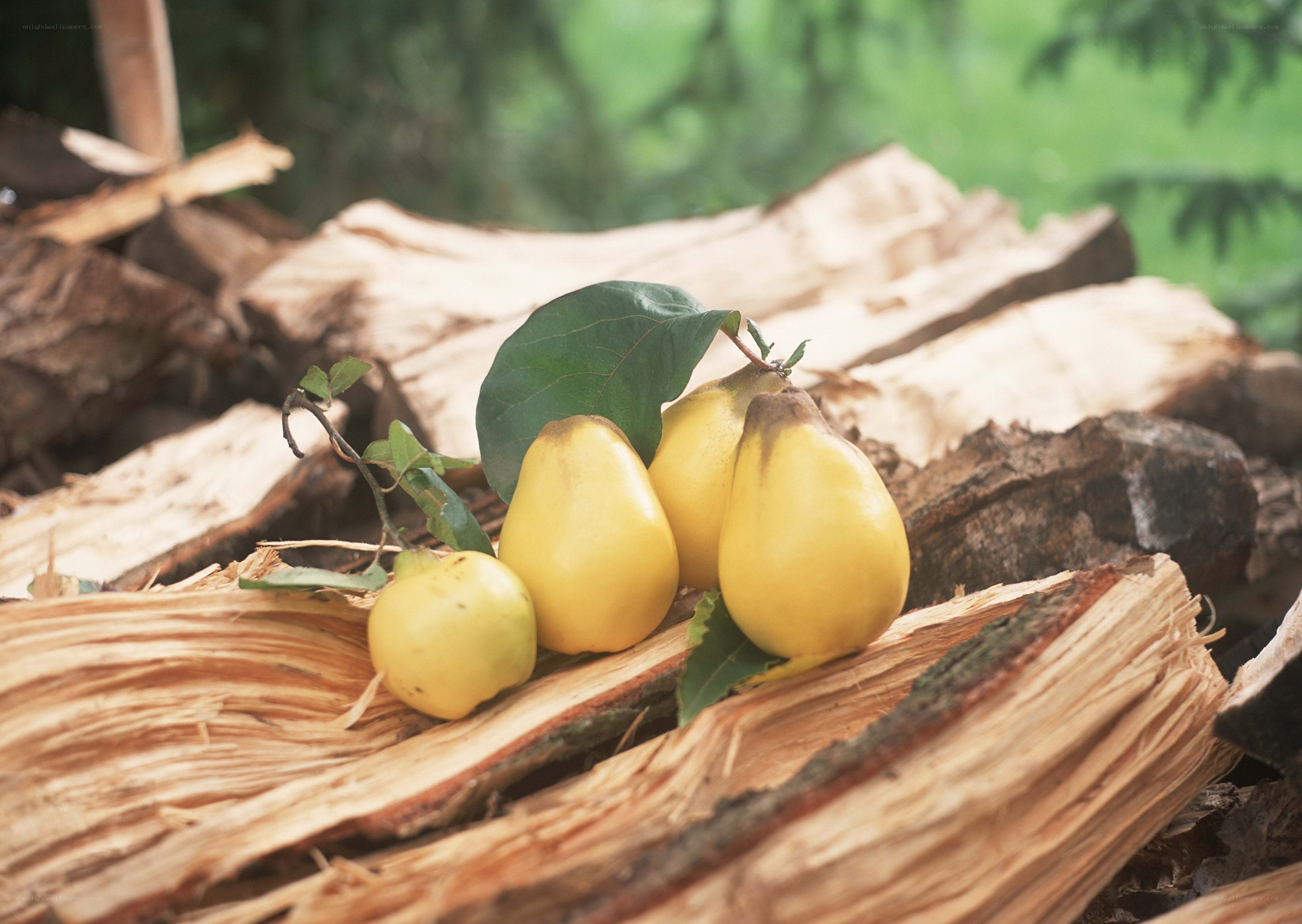 Quinces on firewood