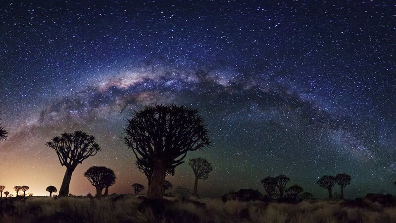 Quiver Tree under Stars