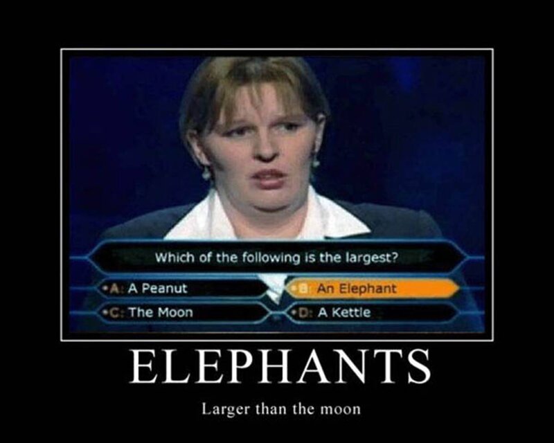 quiz show meme