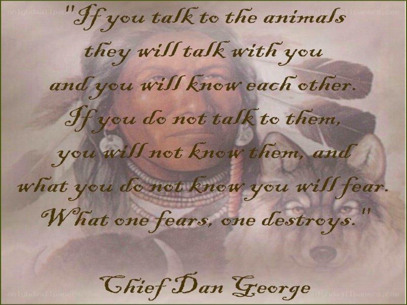 quote about animals and fear