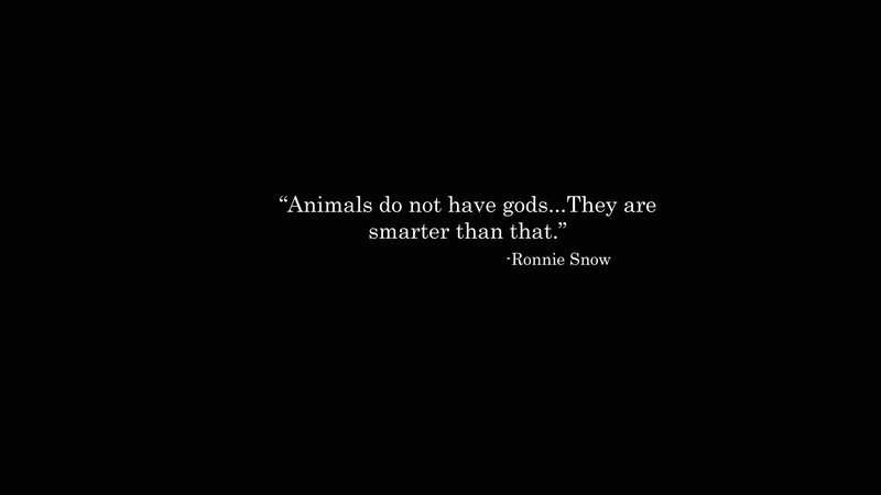 quote about animals