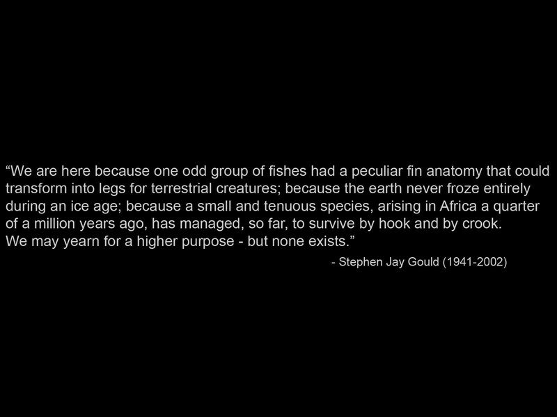 quote about evolution
