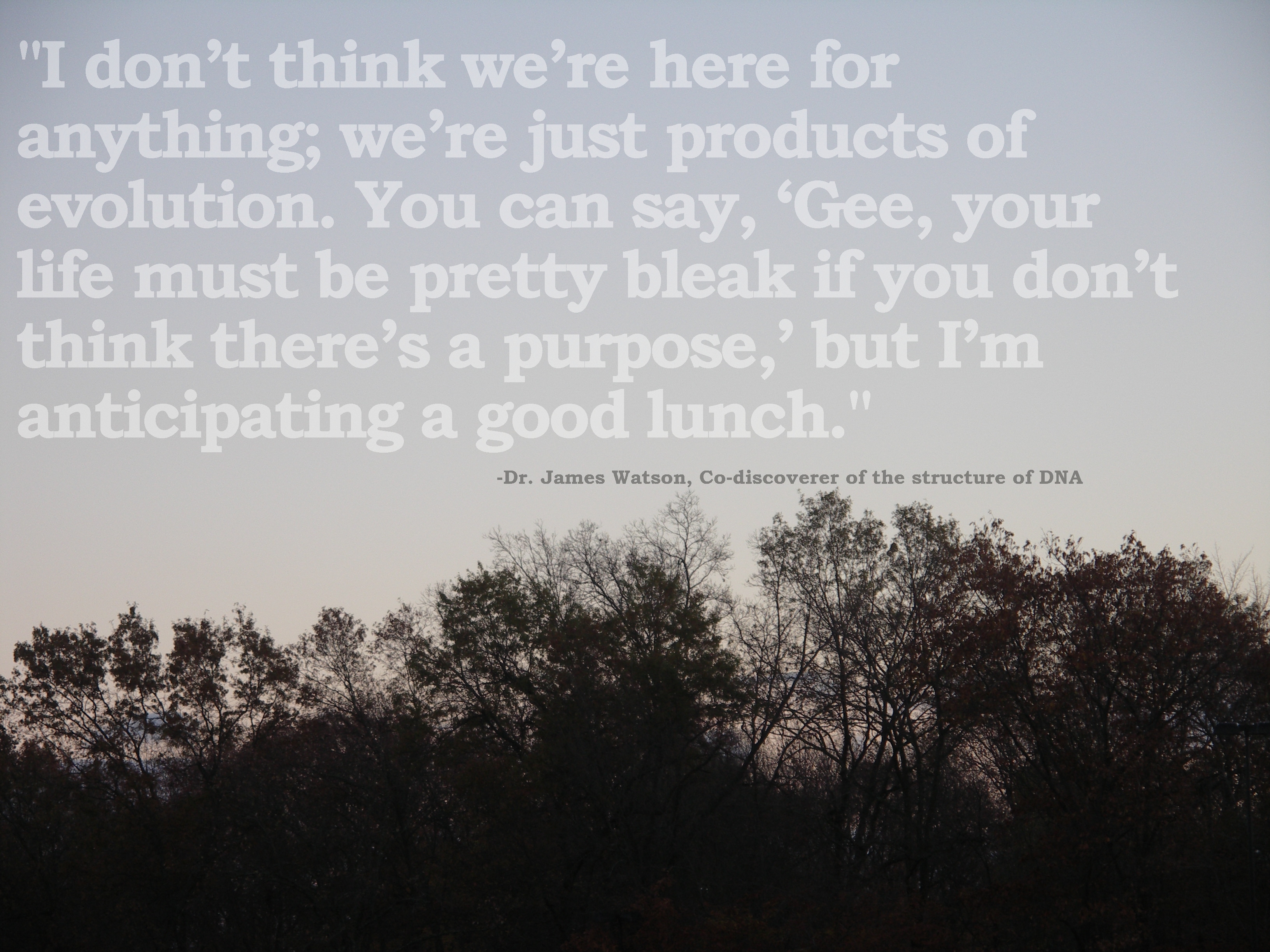 quote about evolution and purpose