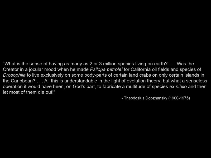 quote about evolution