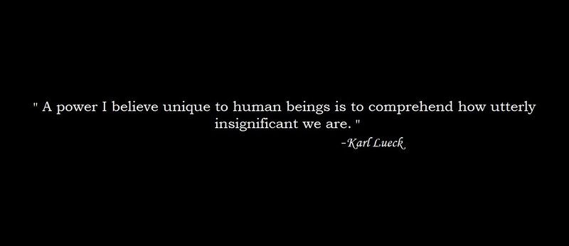 quote about human insignificance