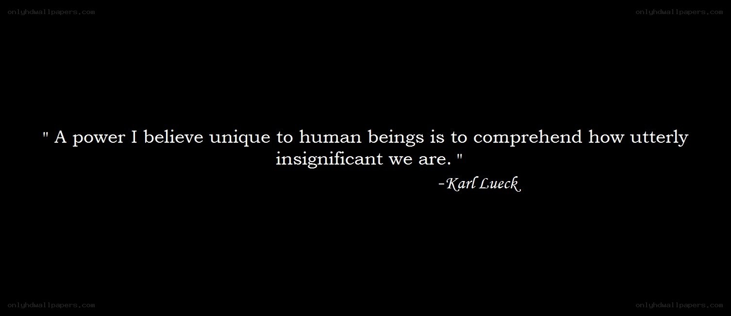 quote about human insignificance