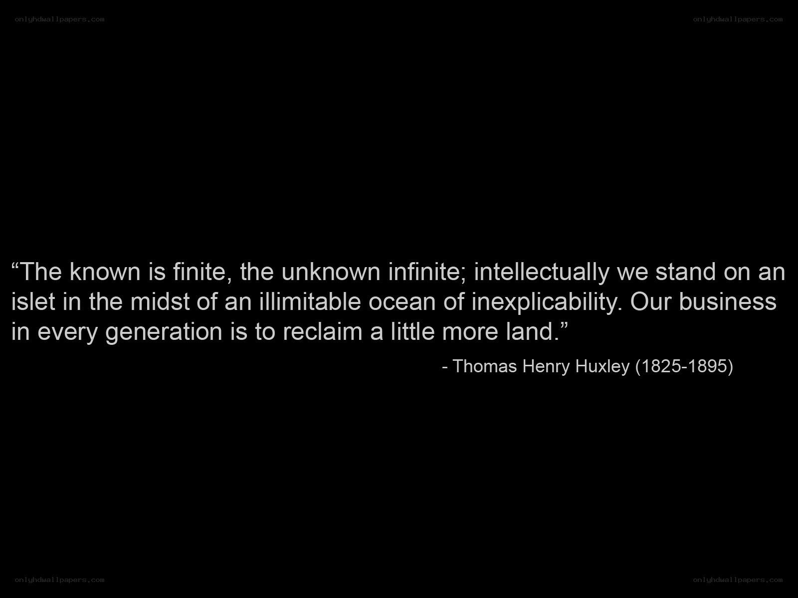 quote about knowledge and ignorance