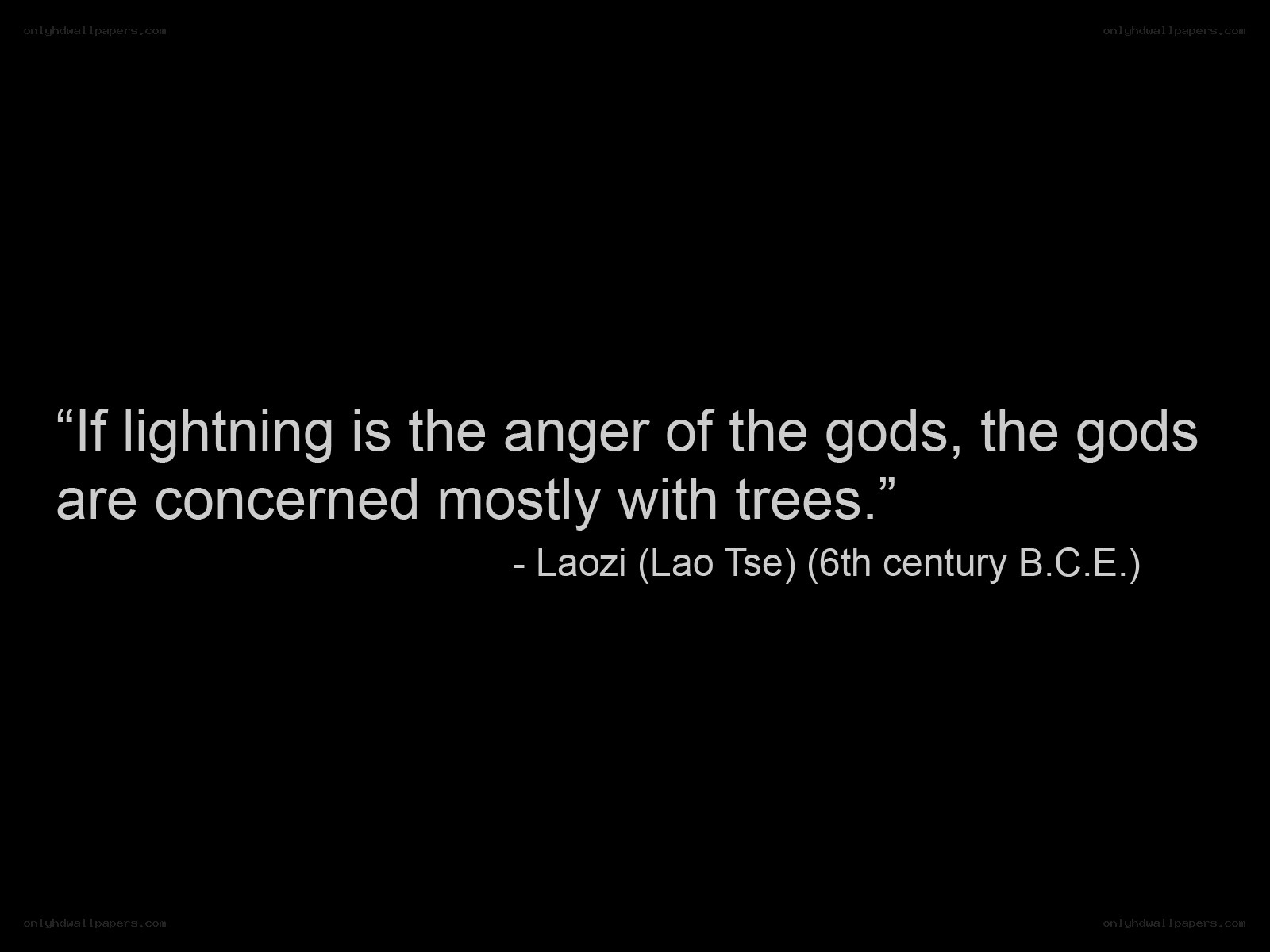 quote about lightning and trees
