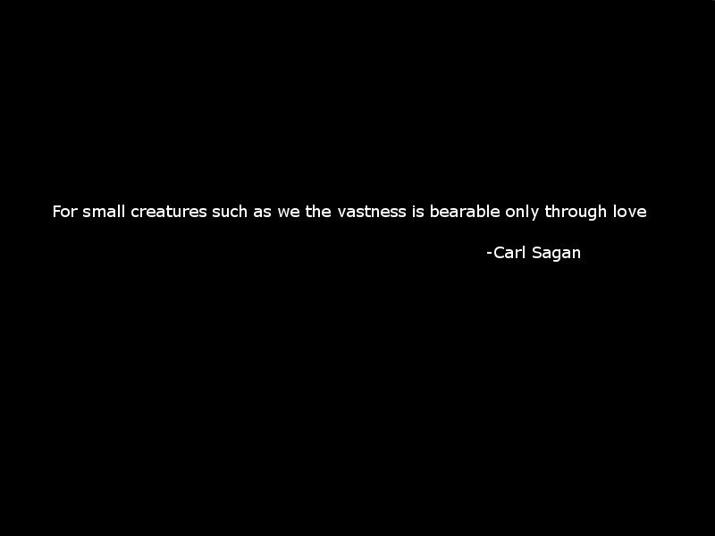 quote about love and vastness