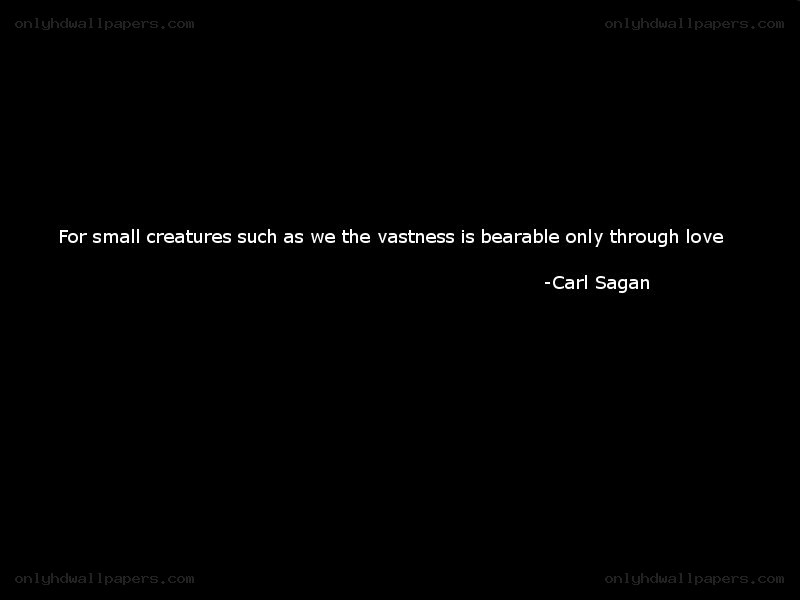 quote about love and vastness
