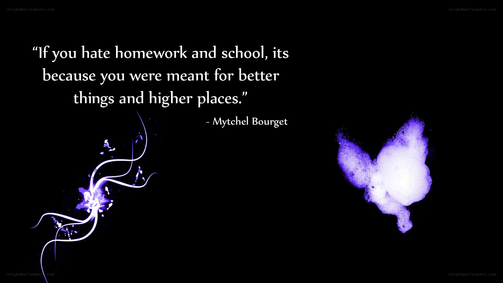 quote about school and potential