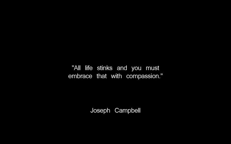 quote from joseph campbell