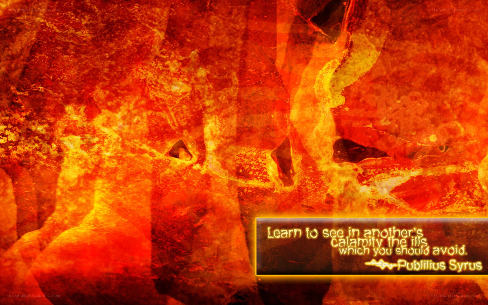 Quote on calamity and wisdom