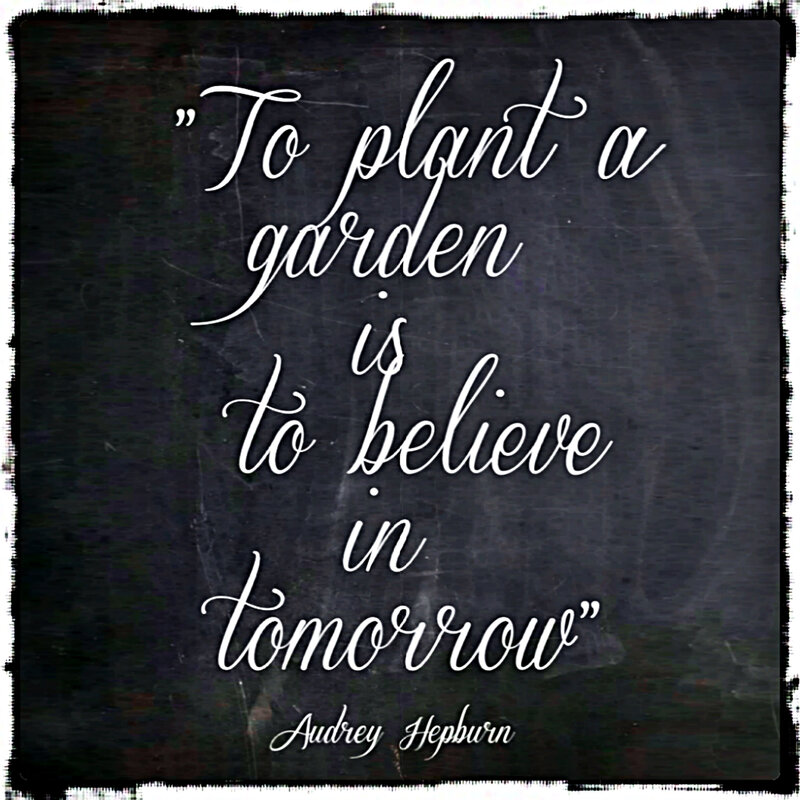 Quote on Chalkboard