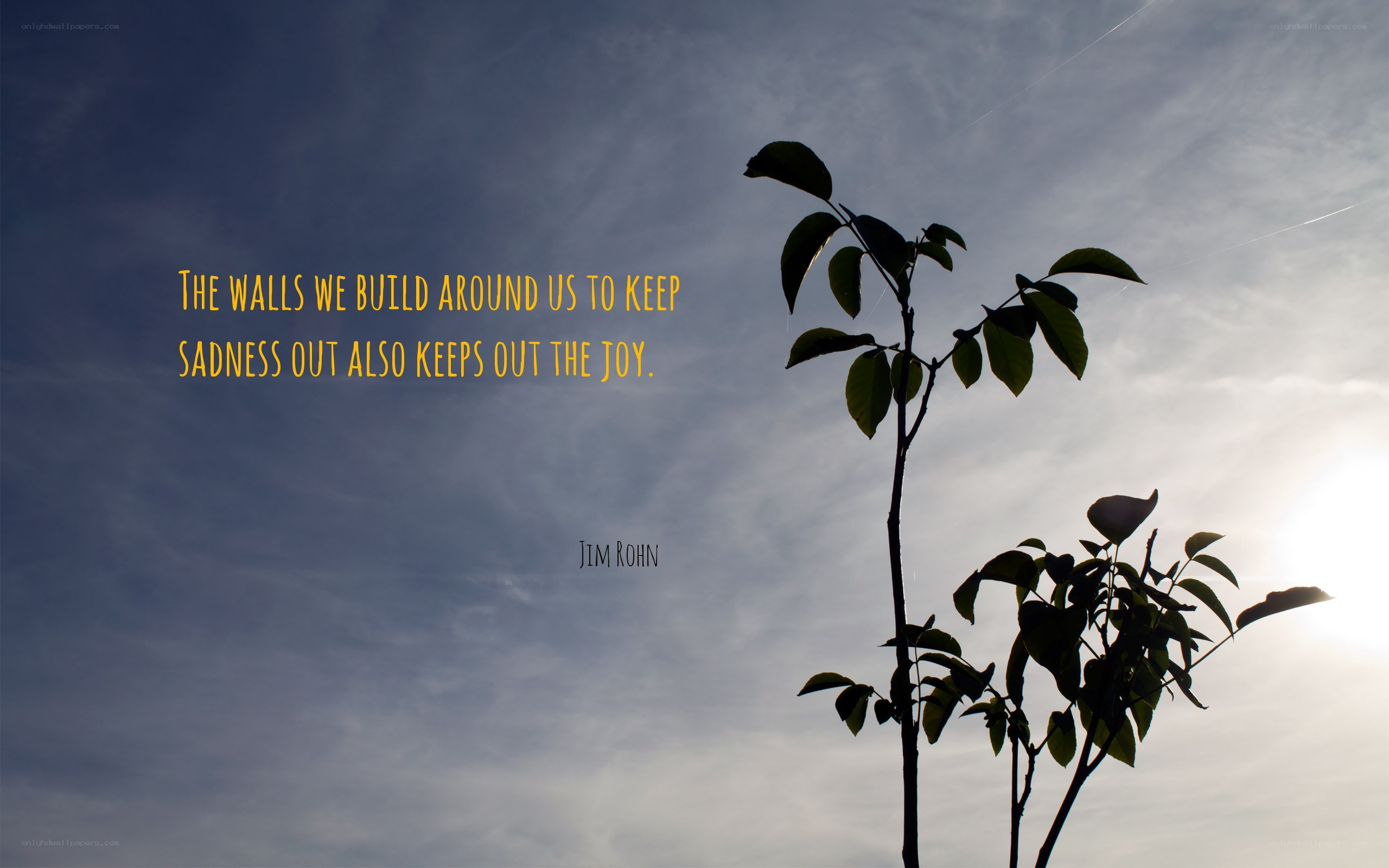 Quote on emotional walls