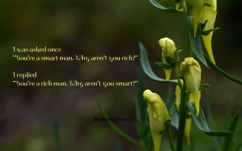 Quote on intelligence and wealth