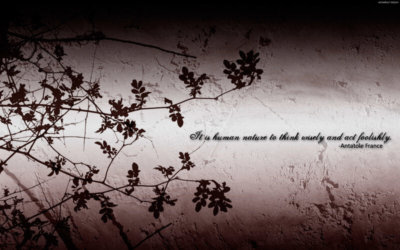 quote on wall with branches