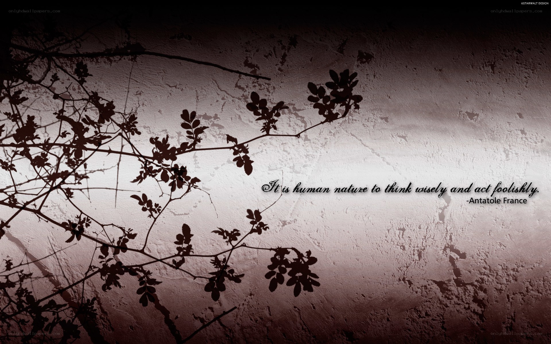quote on wall with branches