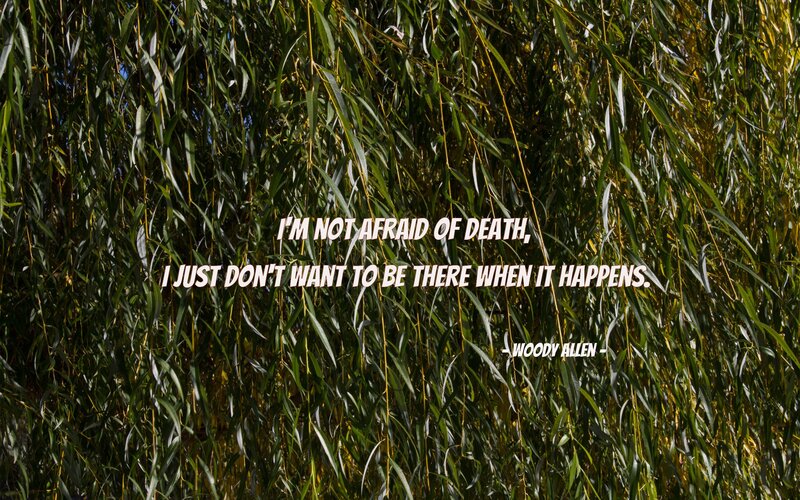 quote on willow leaves