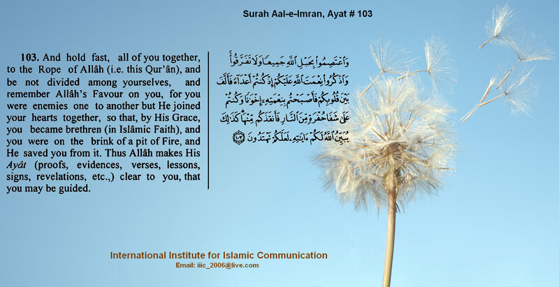 Quran verse with dandelion