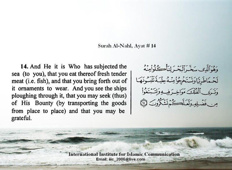 Quran verse with sea background