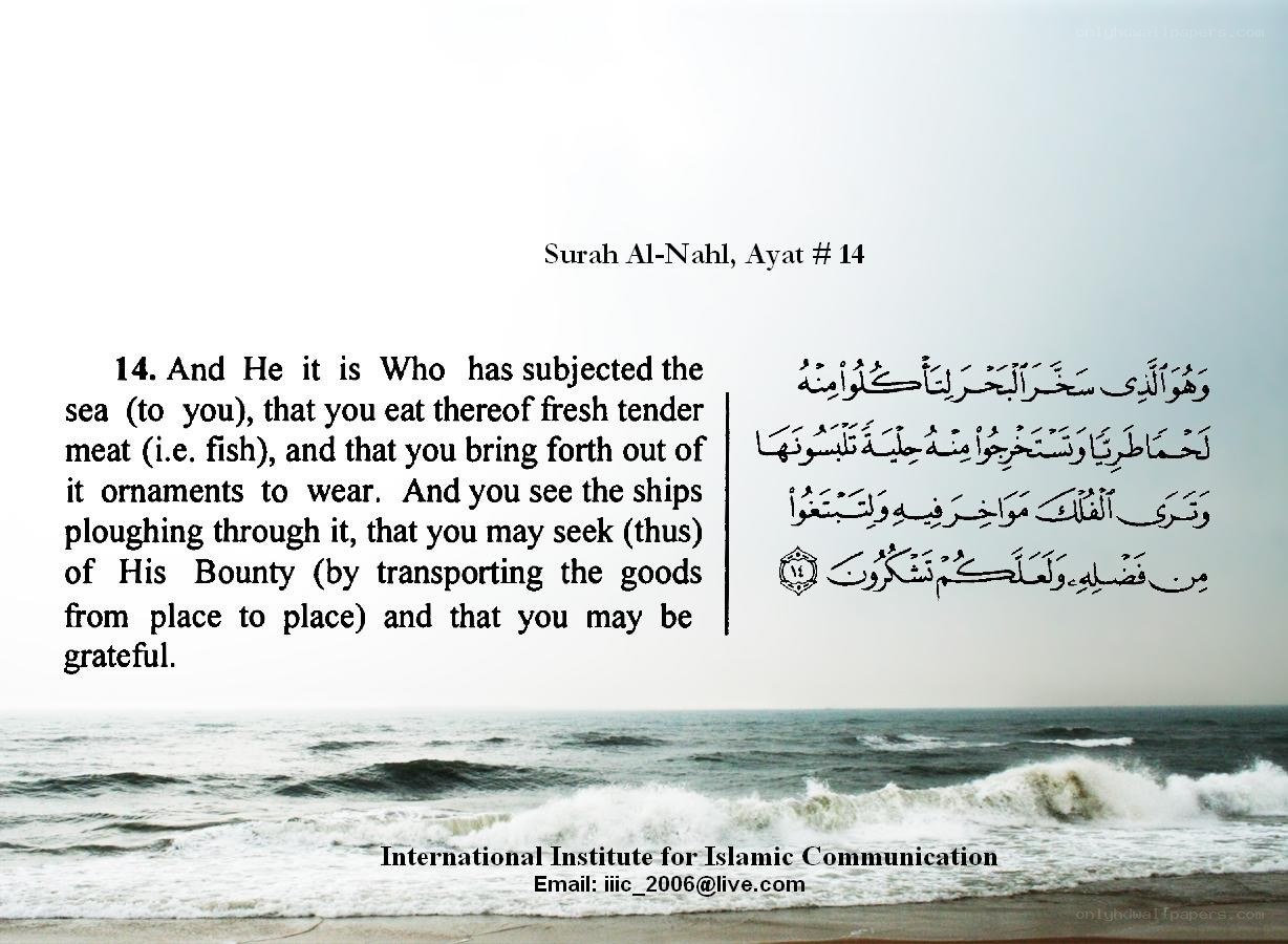 Quran verse with sea background
