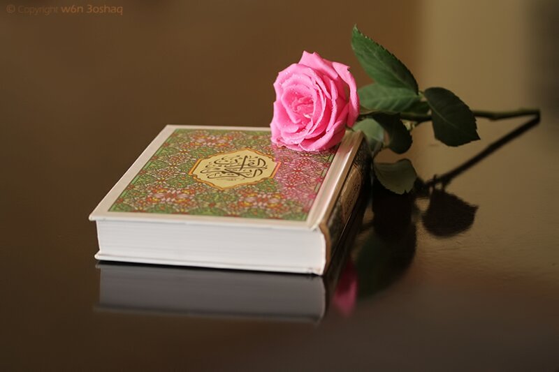 Quran with Pink Rose